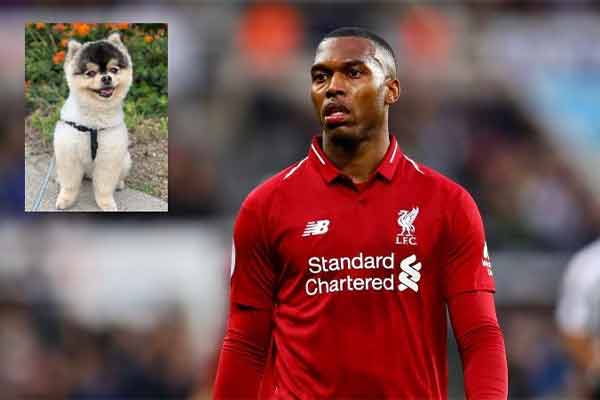 Sturridge-and-his-dog