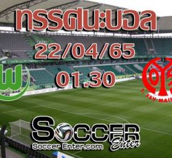 Wolfsburg-Mainz05